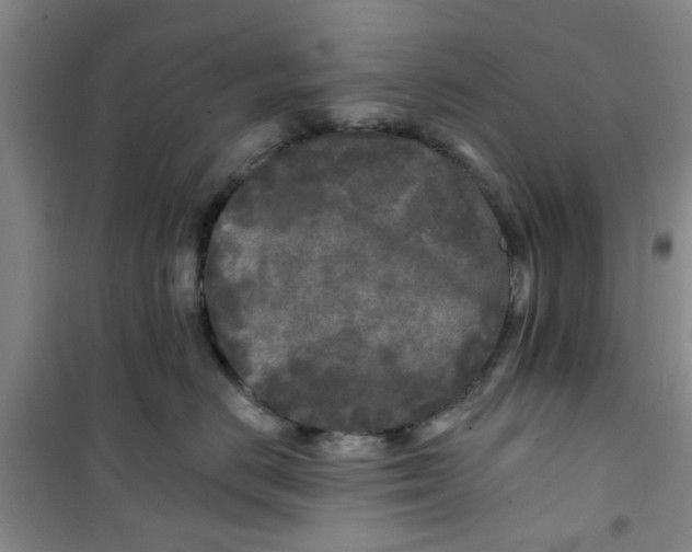 X0000100970670200807221211