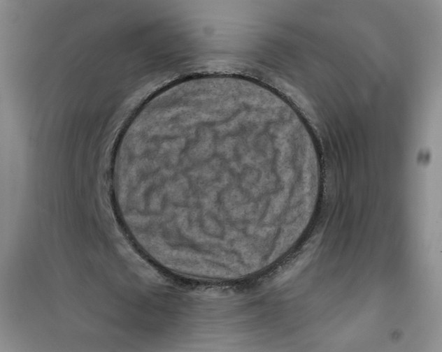 X0000100970673200807221210
