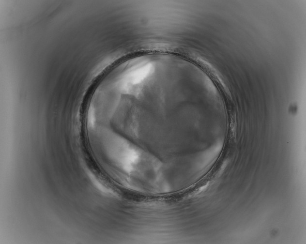 X0000100970674200807221210