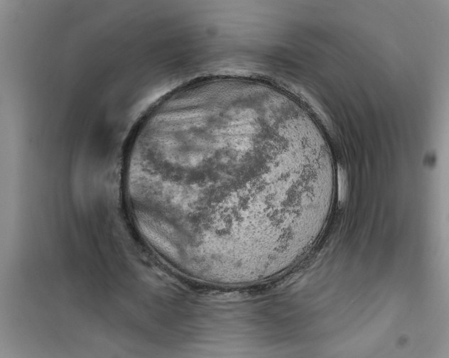 X0000100970675200807221210