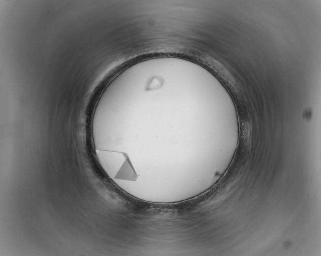 X0000100970676200807221210