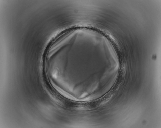 X0000100970678200807221210