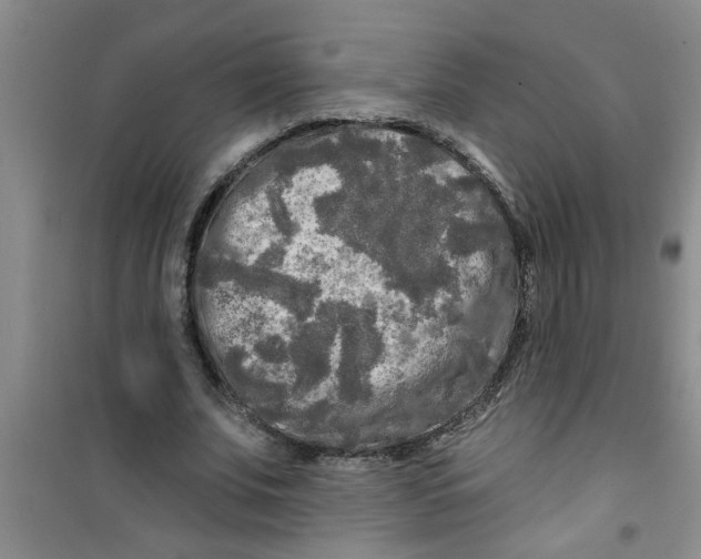 X0000100970679200807221210