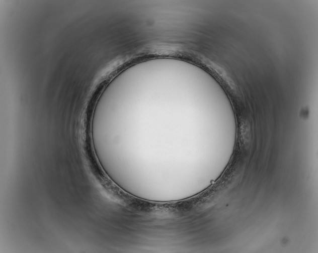 X0000100970682200807221210