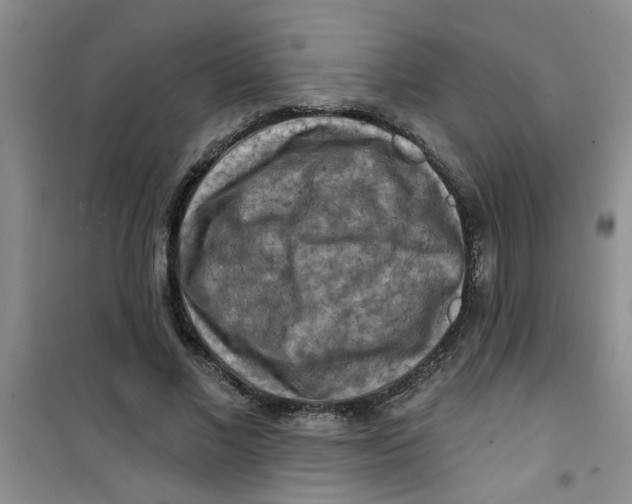 X0000100970685200807221210