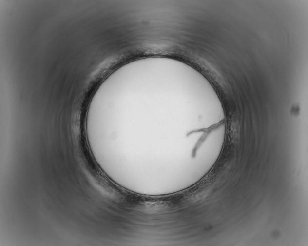 X0000100970686200807221210