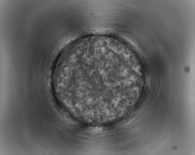 X0000100970687200807221210