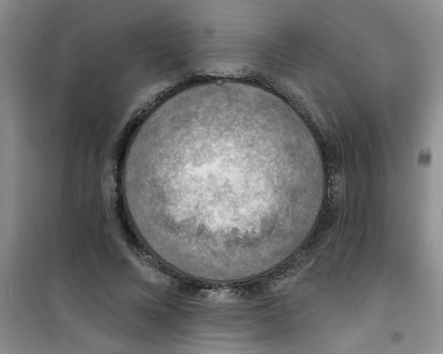 X0000100970688200807221210