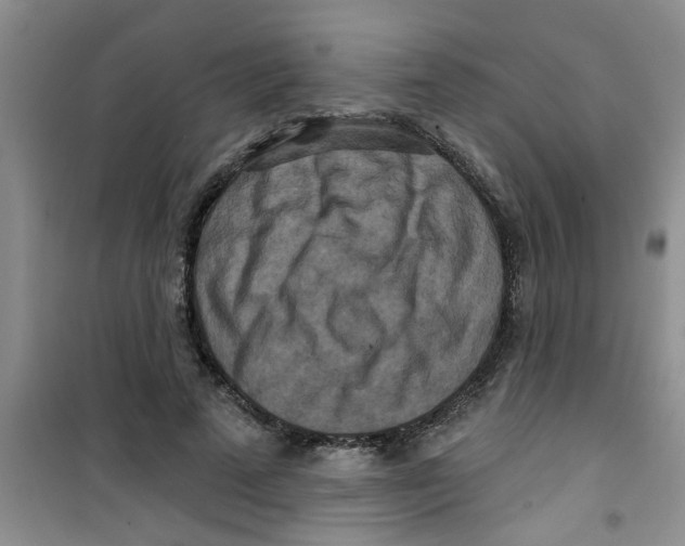 X0000100970689200807221210