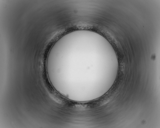 X0000100970690200807221210
