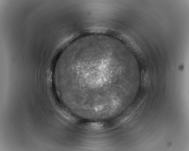 X0000100970692200807221210
