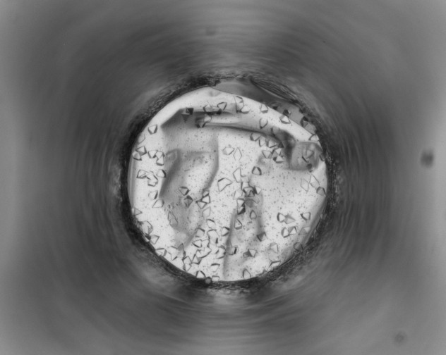 X0000100970693200807221210