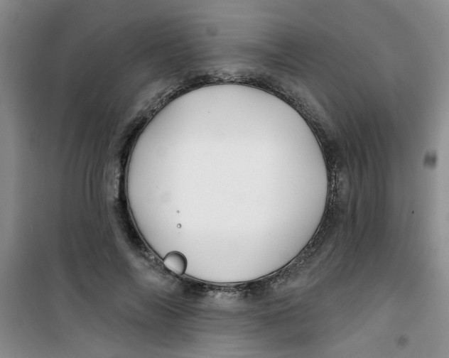 X0000100970694200807221210