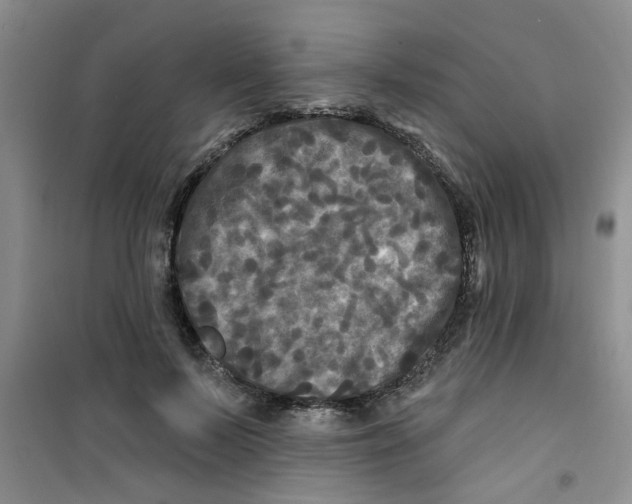 X0000100970695200807221210