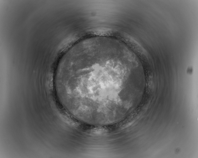 X0000100970696200807221210