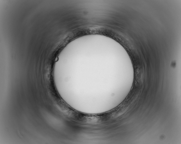 X0000100970698200807221210