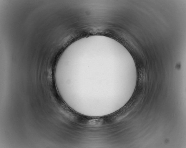 X0000100970700200807221210