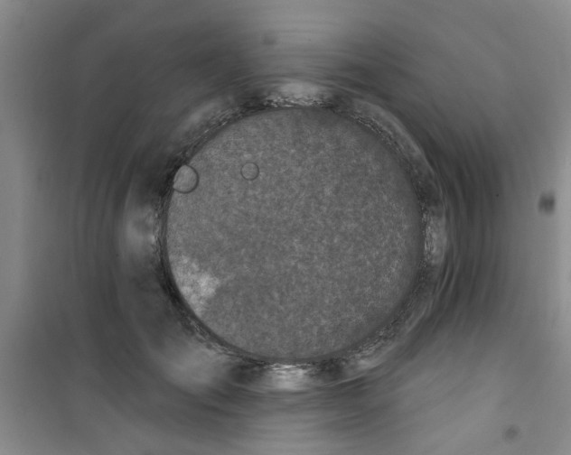 X0000100970701200807221210