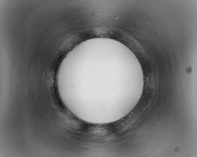 X0000100970702200807221210