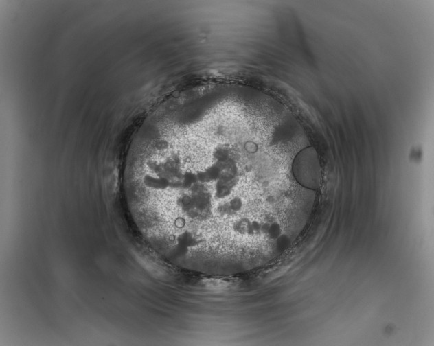 X0000100970703200807221210