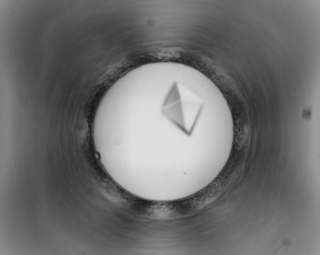 X0000100970704200807221210
