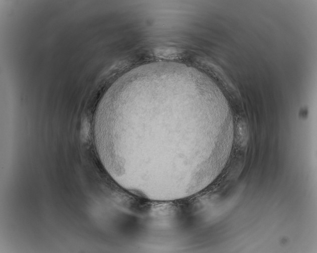 X0000100970705200807221210