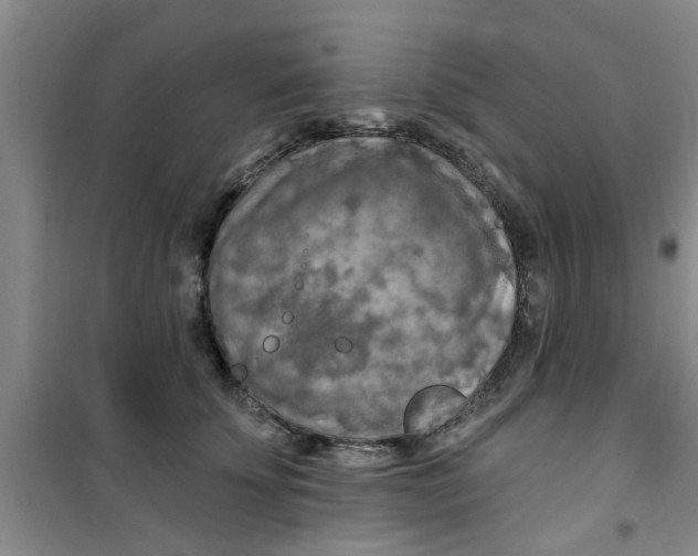 X0000100970707200807221209
