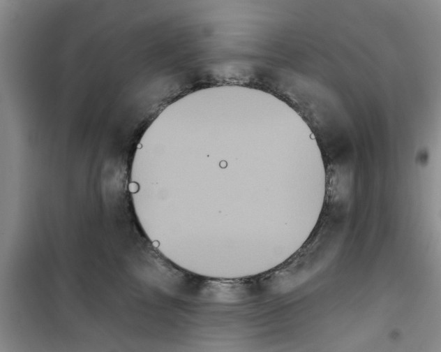 X0000100970713200807221209