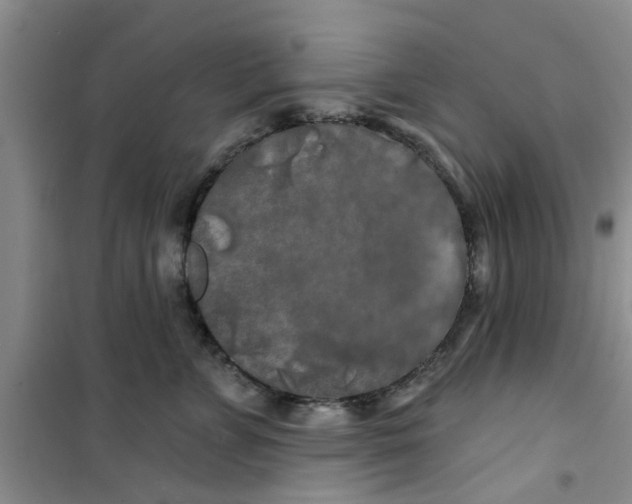 X0000100970715200807221209
