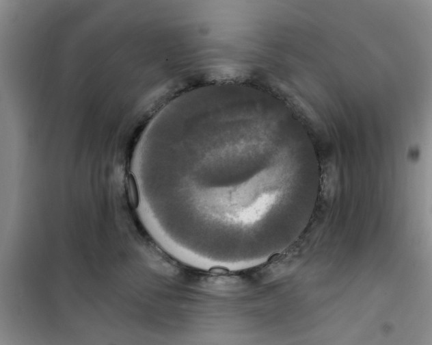 X0000100970716200807221209