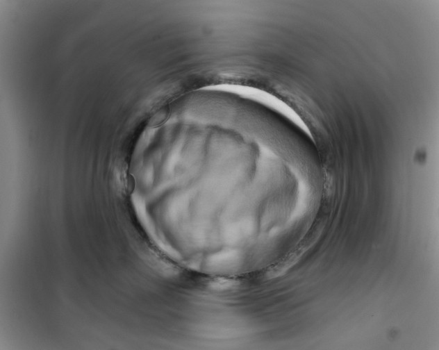 X0000100970718200807221209