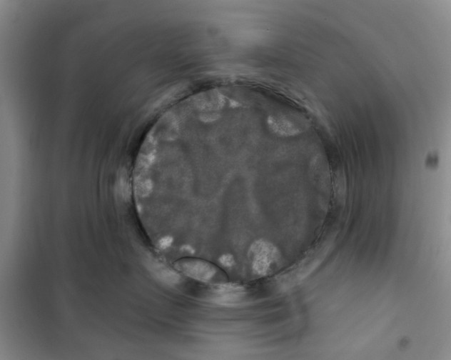 X0000100970719200807221209