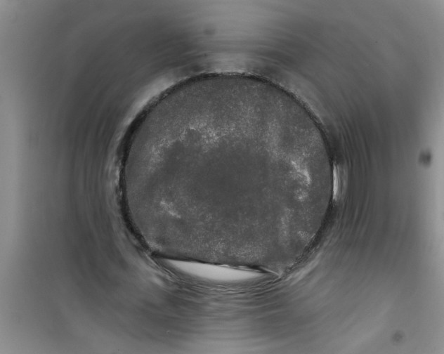 X0000100970723200807221209