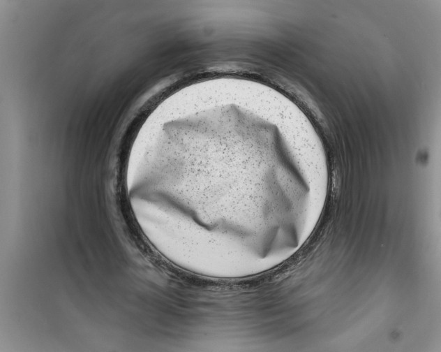 X0000100970724200807221209