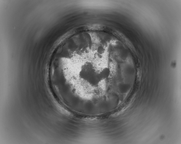 X0000100970725200807221209