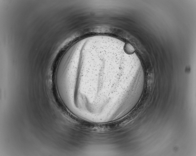 X0000100970727200807221209