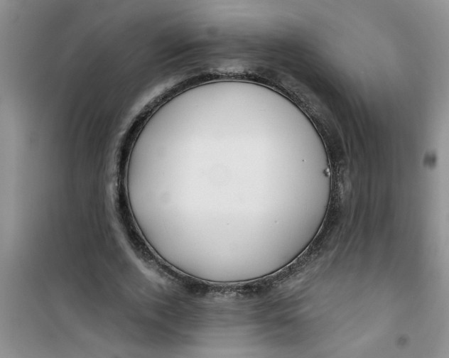 X0000100970728200807221209