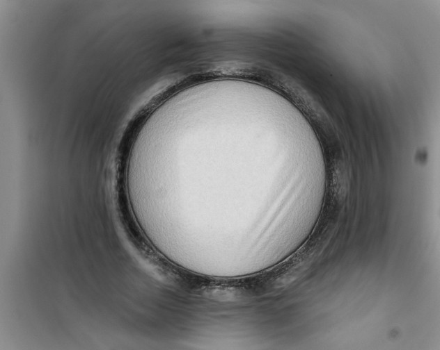 X0000100970730200807221209
