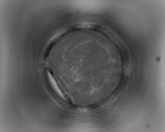X0000100970735200807221209