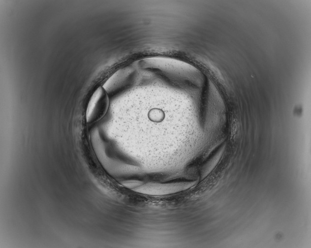 X0000100970736200807221209