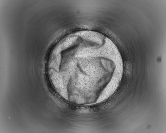 X0000100970738200807221209