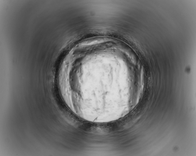 X0000100970739200807221209