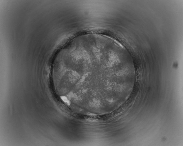 X0000100970742200807221209