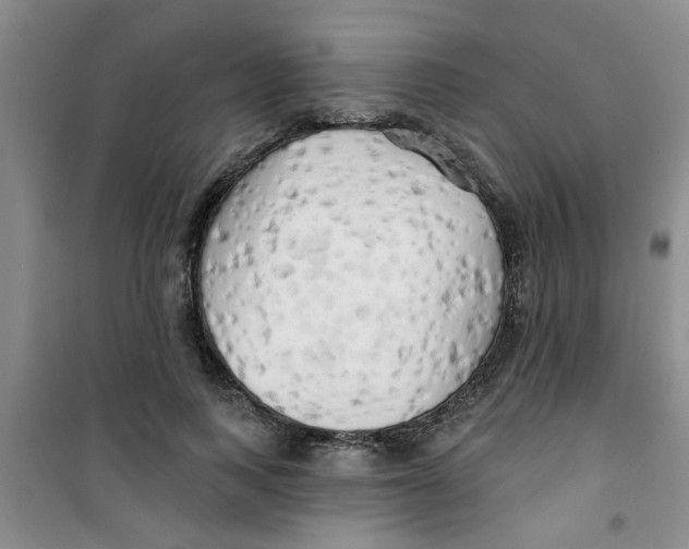 X0000100970743200807221209