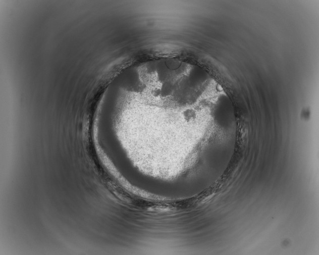 X0000100970745200807221209