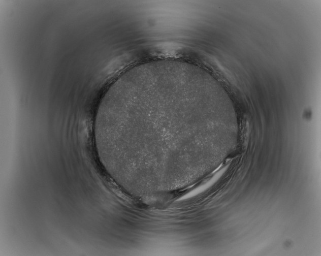 X0000100970747200807221209