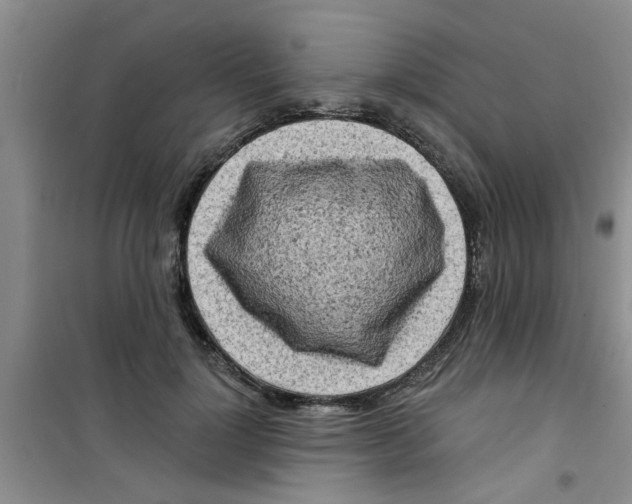 X0000100970748200807221209