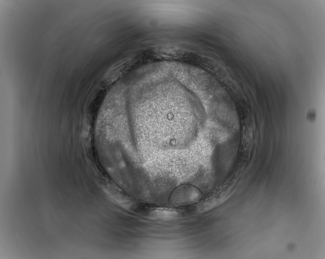 X0000100970749200807221209
