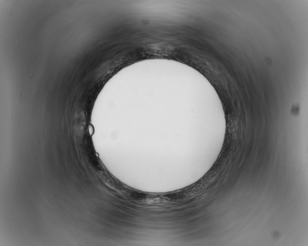 X0000100970752200807221209