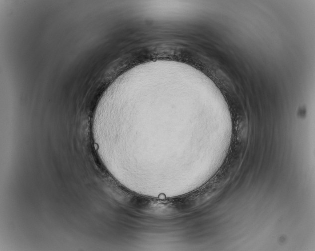 X0000100970753200807221209